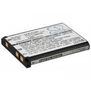 Batterie Ricoh DS-6365