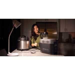 EcoFlow DELTA Portable Power Station