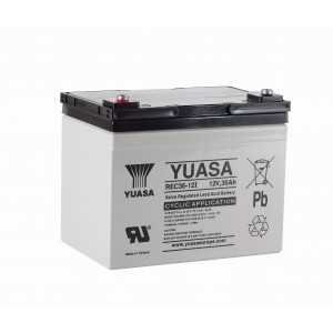 BATTERIE YUASA REC36-12