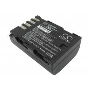 Batterie Panasonic DMW-BLF19