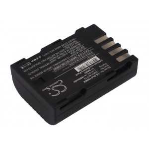Batterie Panasonic DMW-BLF19