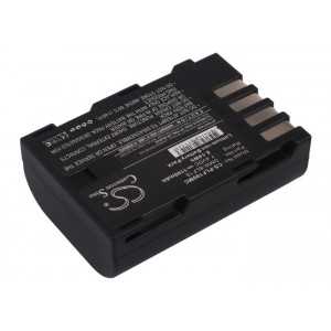 Batterie Panasonic DMW-BLF19