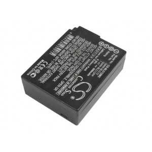 Batterie Panasonic DMW-BLC12