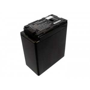 Batterie Panasonic VW-VBG6