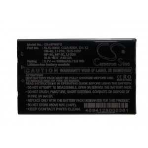 Batterie Panasonic CGA-S301