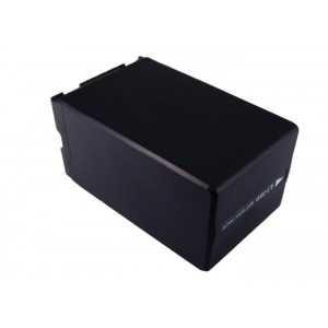 Batterie Panasonic VW-VBD310