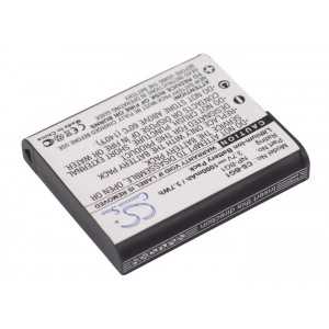 Batterie Sony NP-BG1