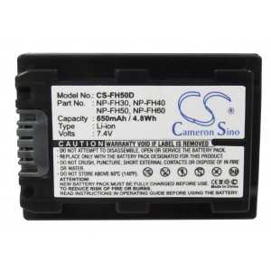 Batterie Sony NP-FH30