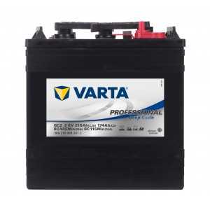 BATTERIE VARTA PRO DUAL PURPOSE AGM 12V 105AH 950A (EN)
