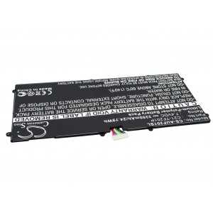 Batterie Asus C21-TF201P