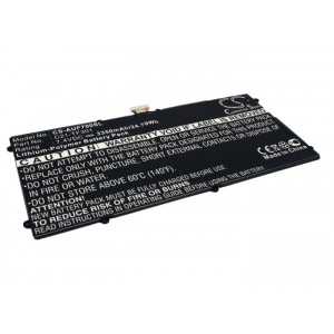 Batterie Asus C21-TF301