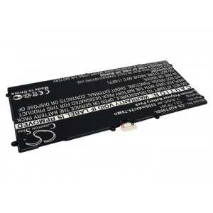 Batterie Asus C21-TF301