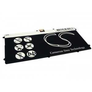 Batterie Asus C21-TF301